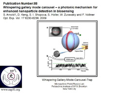 Whispering Gallery Mode Biosensor 017.JPG